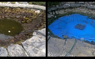 13-galeria-Pietrzyk-ogrody.pl