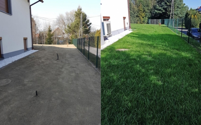 Trawnik z siewu  z automatycznym systemem nawadniania i siatką na krety.