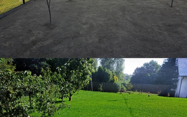 Trawnik z siewu  z automatycznym systemem nawadniania i siatką na krety.