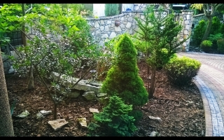 4-galeria-Pietrzyk-ogrody.pl