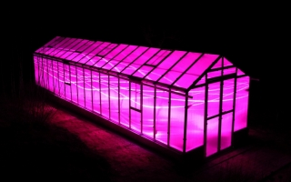 Szklarnia poliwęglanowa - Czułów