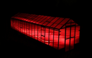 Szklarnia poliwęglanowa - Czułów